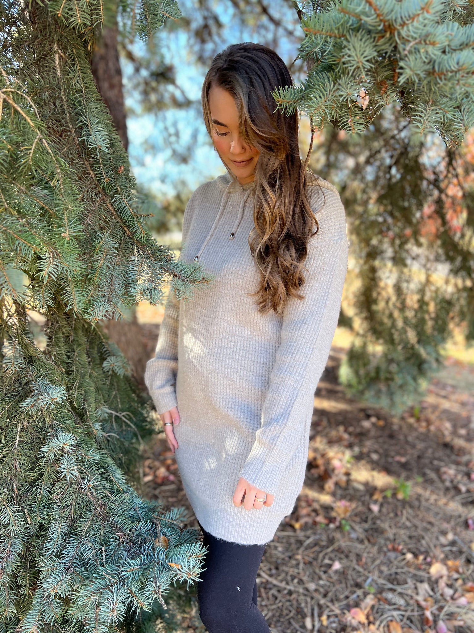 Chunky Waffle Knit Hoodie Tunic/Dress Oatmeal / Medium Chunky Waffle Knit Hoodie Tunic/Dress Oatmeal / Medium