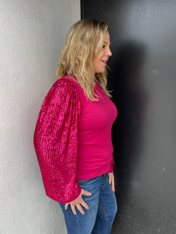 Solid Top with Sequin Detailed Sleeves