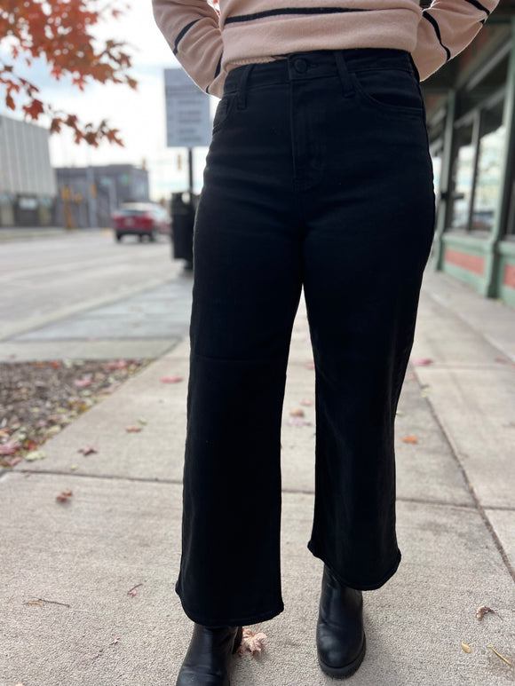 Just Black Denim High Rise Wide Leg